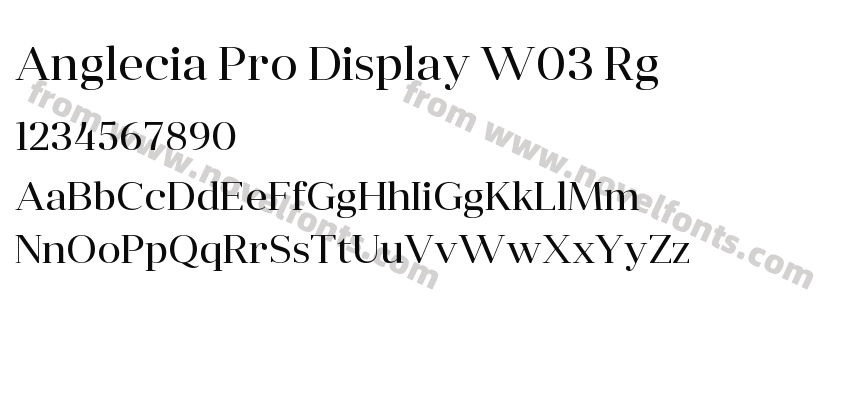 Anglecia Pro Display W03 RgPreview