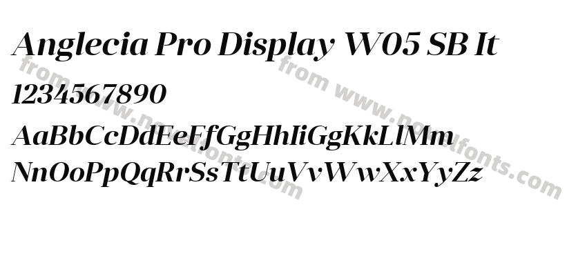 Anglecia Pro Display W05 SB ItPreview