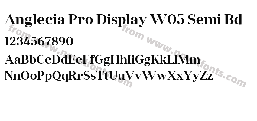 Anglecia Pro Display W05 Semi BdPreview