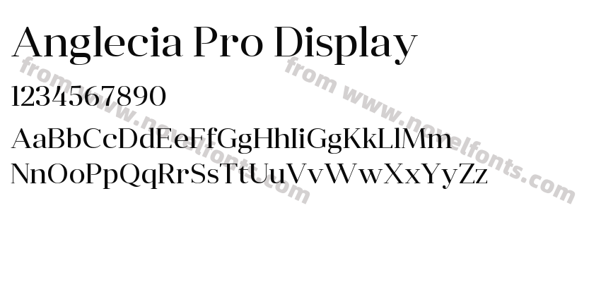 Anglecia Pro DisplayPreview