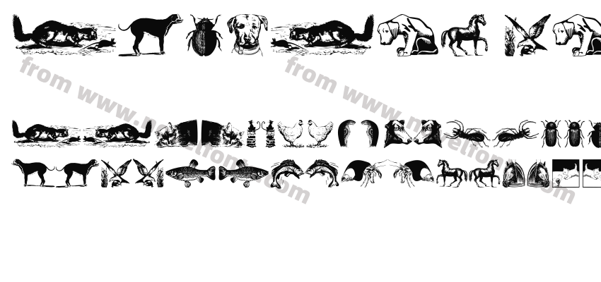 Animals OldfashionPreview