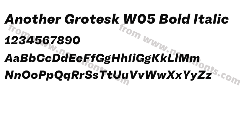 Another Grotesk W05 Bold ItalicPreview