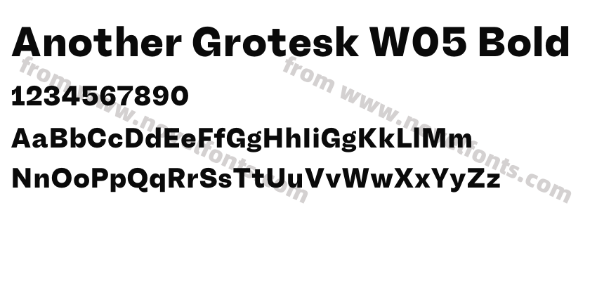 Another Grotesk W05 BoldPreview