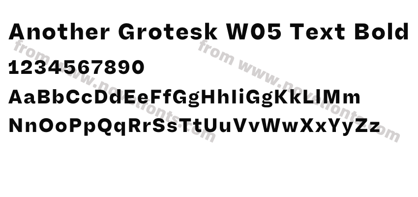 Another Grotesk W05 Text BoldPreview