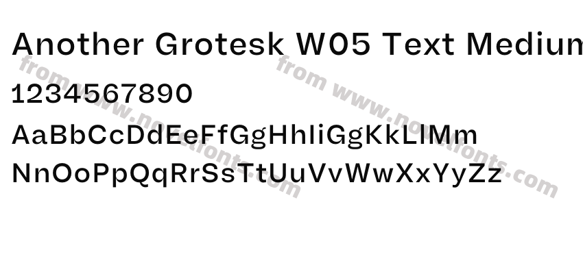Another Grotesk W05 Text MediumPreview