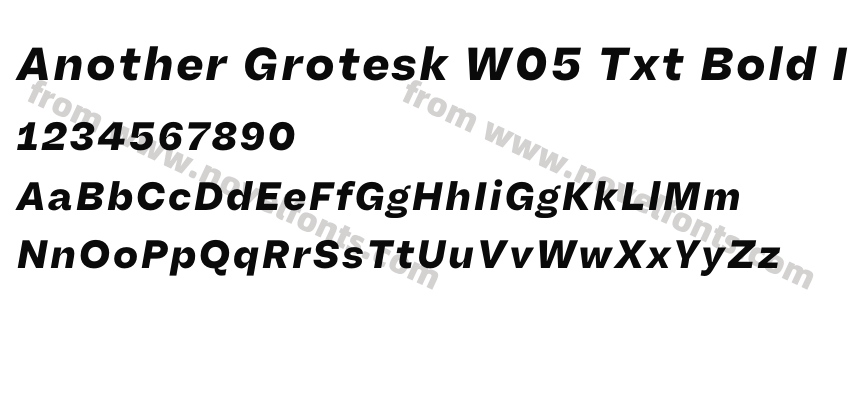Another Grotesk W05 Txt Bold ItPreview