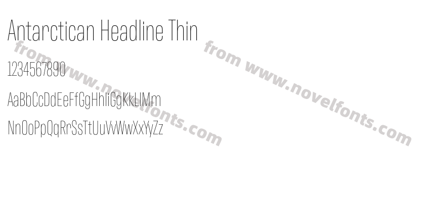 Antarctican Headline ThinPreview