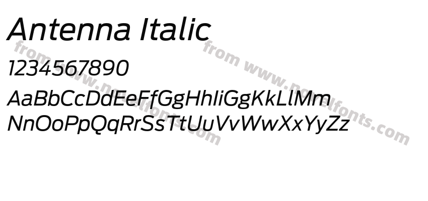 Antenna ItalicPreview