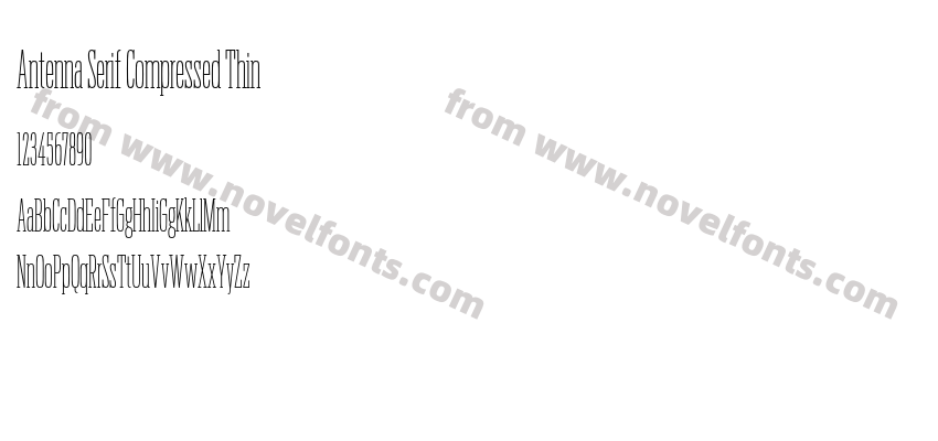 Antenna Serif Compressed ThinPreview