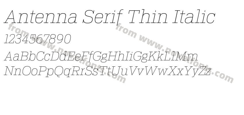 Antenna Serif Thin ItalicPreview