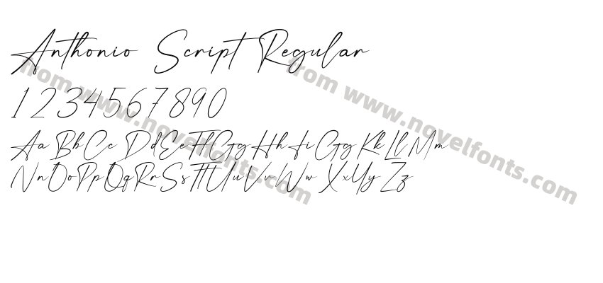 Anthonio Script RegularPreview