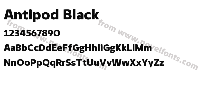 Antipod BlackPreview