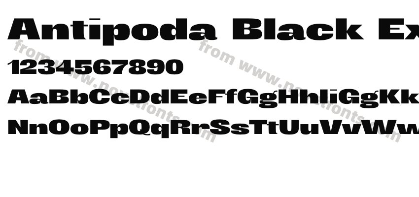 Antipoda Black ExtendedPreview