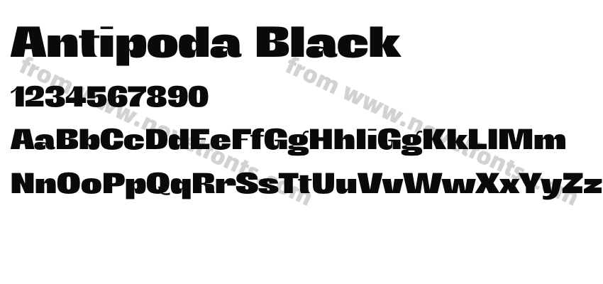 Antipoda BlackPreview