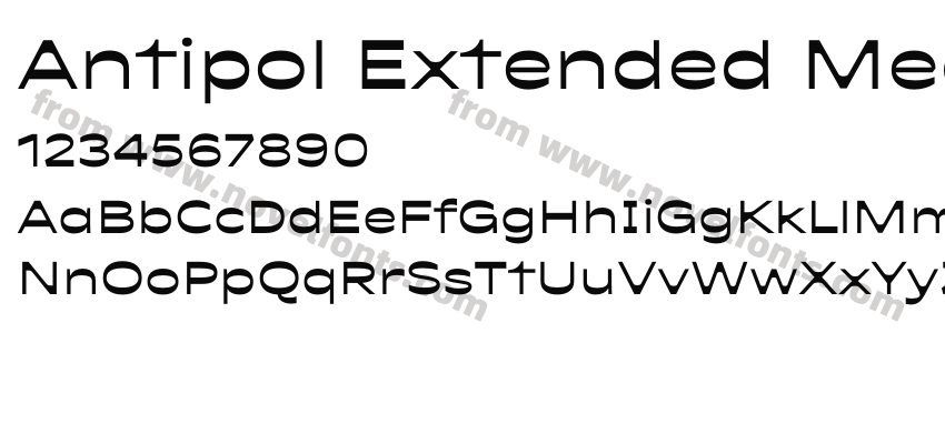 Antipol Extended MediumPreview