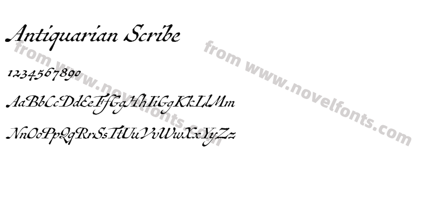 Antiquarian ScribePreview