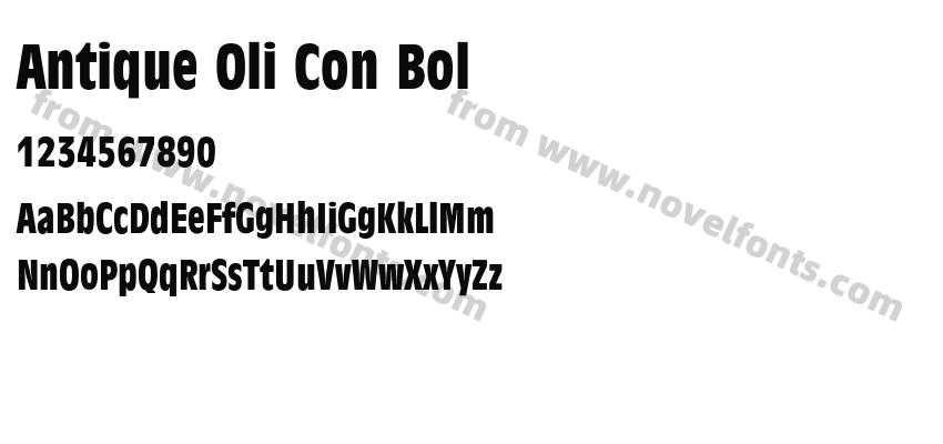 Antique Oli Con BolPreview