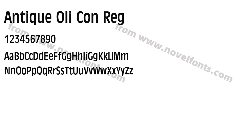 Antique Oli Con RegPreview
