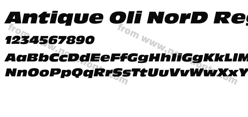 Antique Oli NorD Reg ItaPreview