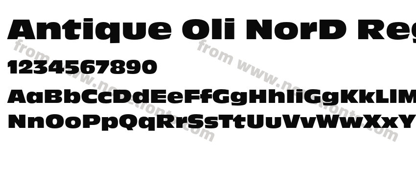 Antique Oli NorD RegPreview