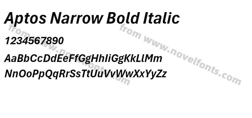 Aptos Narrow Bold ItalicPreview