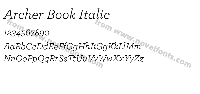 Archer Book ItalicPreview