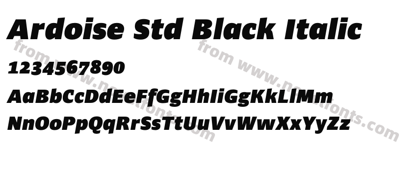 Ardoise Std Black ItalicPreview