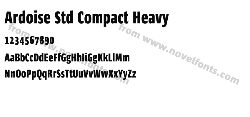 Ardoise Std Compact HeavyPreview