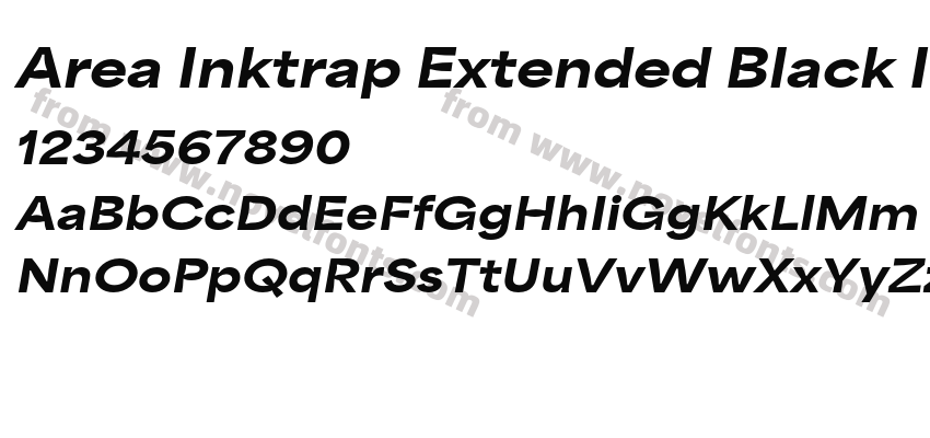 Area Inktrap Extended Black ItalicPreview