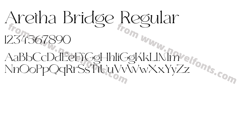 Aretha Bridge RegularPreview