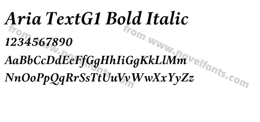 Aria TextG1 Bold ItalicPreview