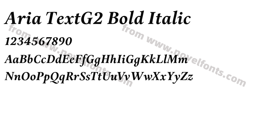 Aria TextG2 Bold ItalicPreview