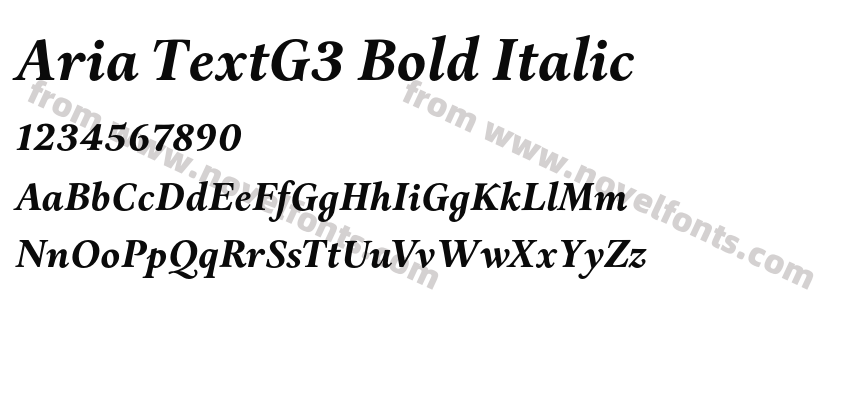 Aria TextG3 Bold ItalicPreview