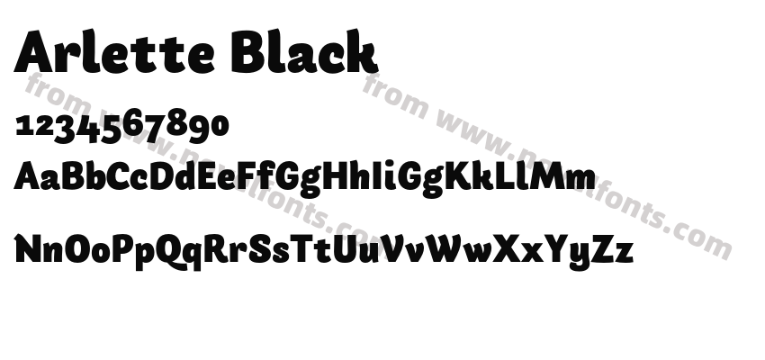 Arlette BlackPreview