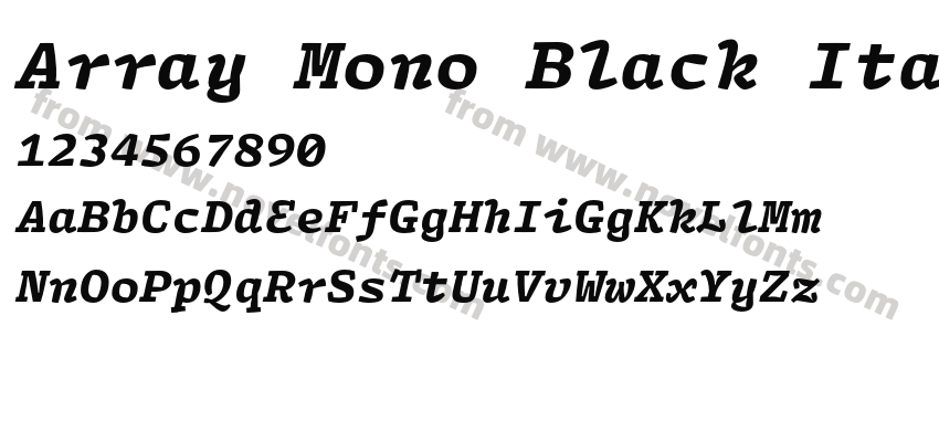 Array Mono Black ItalicPreview