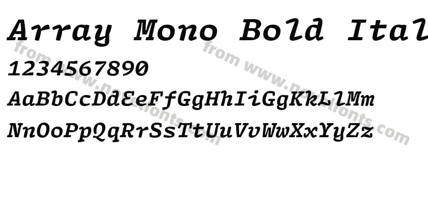 Array Mono Bold ItalicPreview