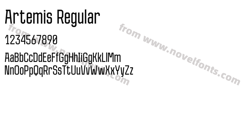 Artemis RegularPreview