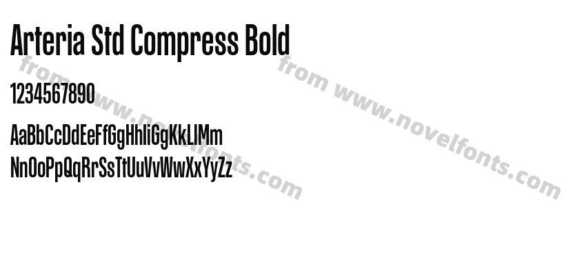 Arteria Std Compress BoldPreview