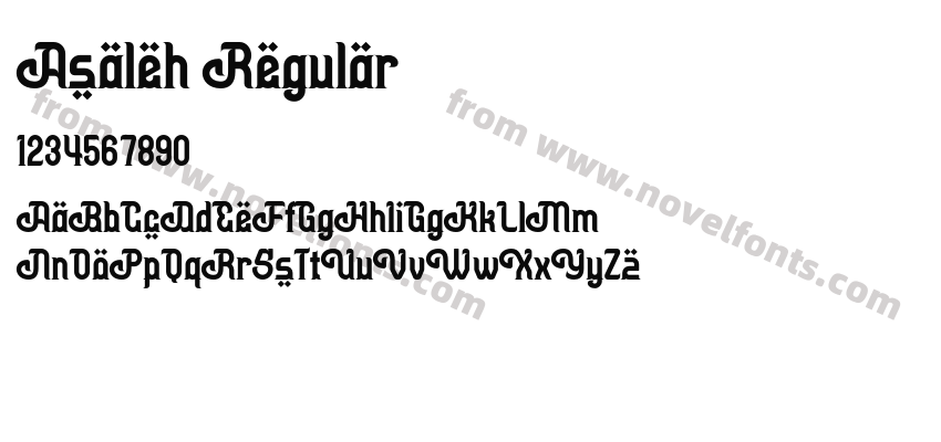 Asaleh RegularPreview