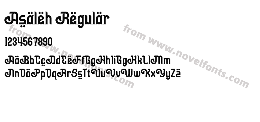 Asaleh RegularPreview