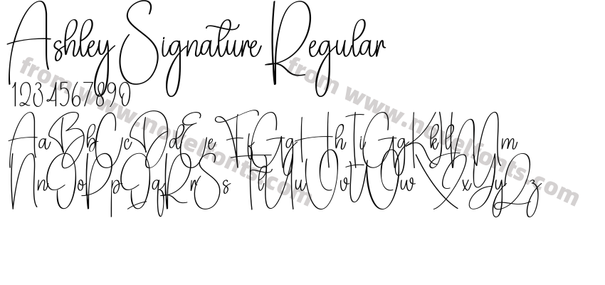 Ashley Signature RegularPreview