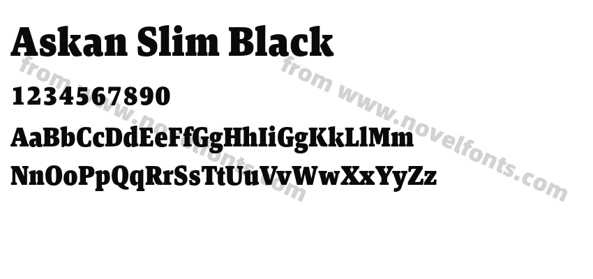 Askan Slim BlackPreview