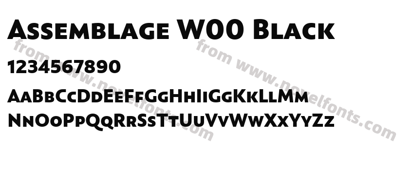 Assemblage W00 BlackPreview