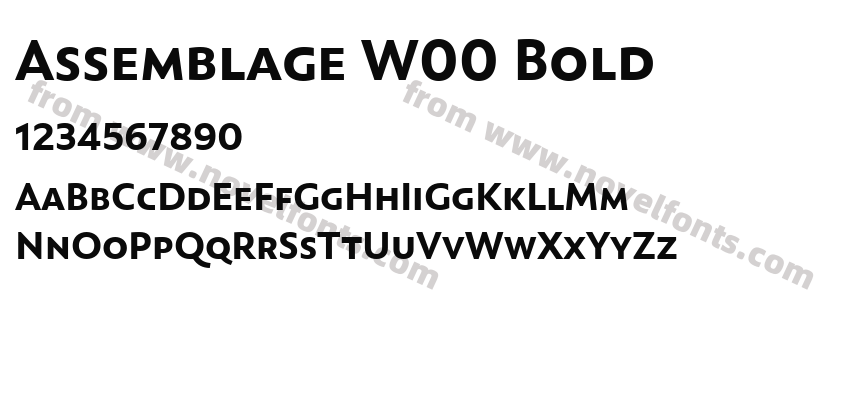 Assemblage W00 BoldPreview