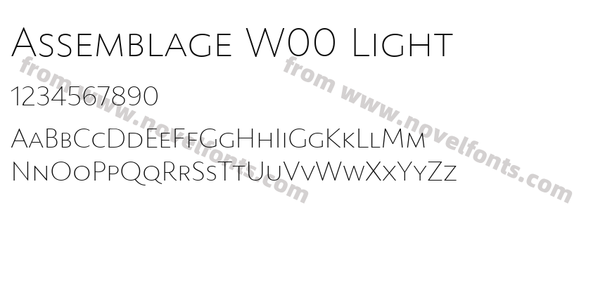 Assemblage W00 LightPreview
