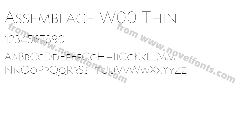 Assemblage W00 ThinPreview