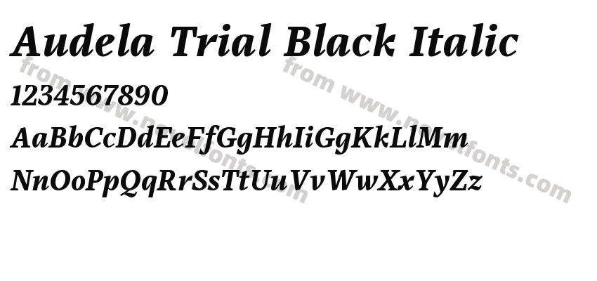 Audela Trial Black ItalicPreview