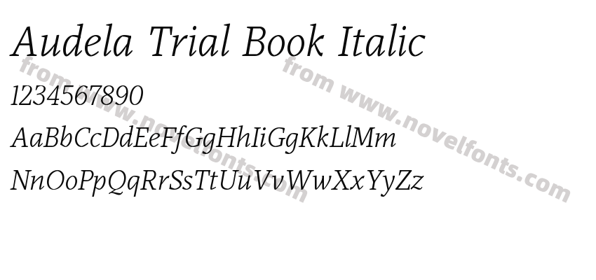 Audela Trial Book ItalicPreview