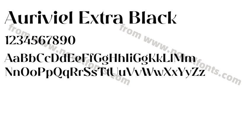 Auriviel Extra BlackPreview