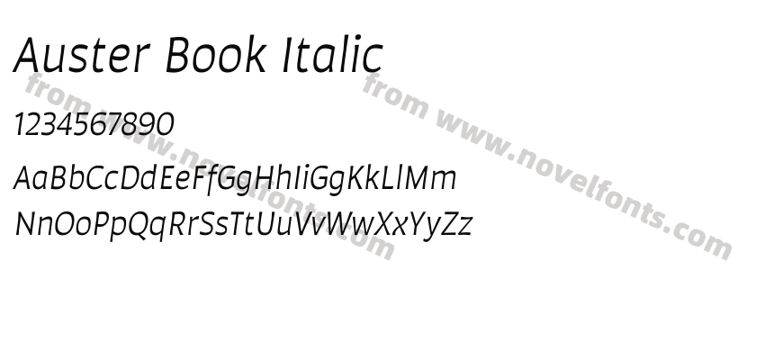 Auster Book ItalicPreview